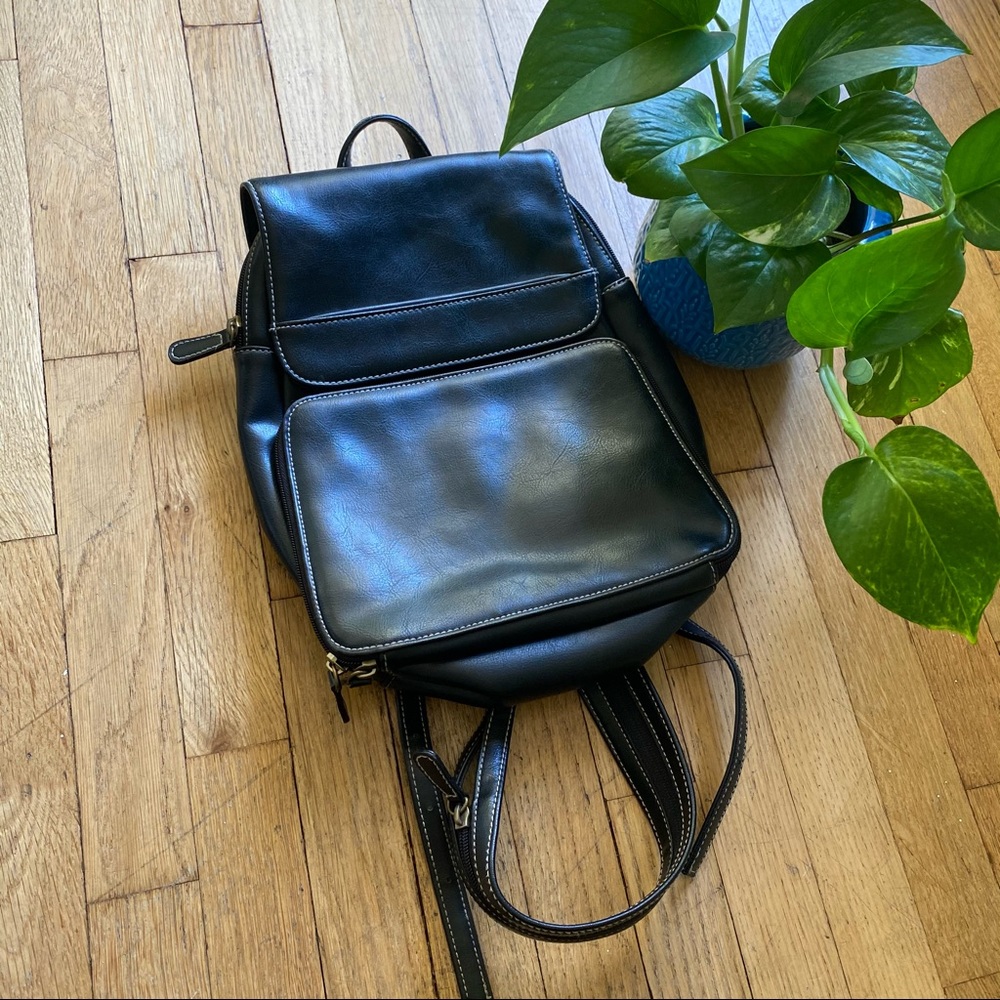 Carryland America Backpack